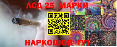 гидра Славгород