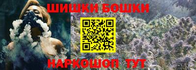 гидра Славгород