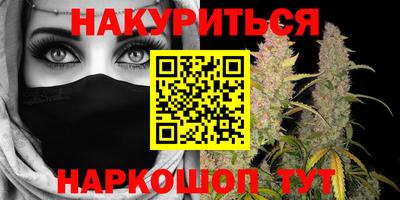 гидра Славгород