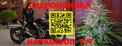 гашишное масло Сланцы