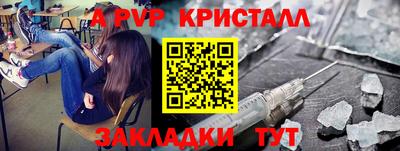 гидра Славгород
