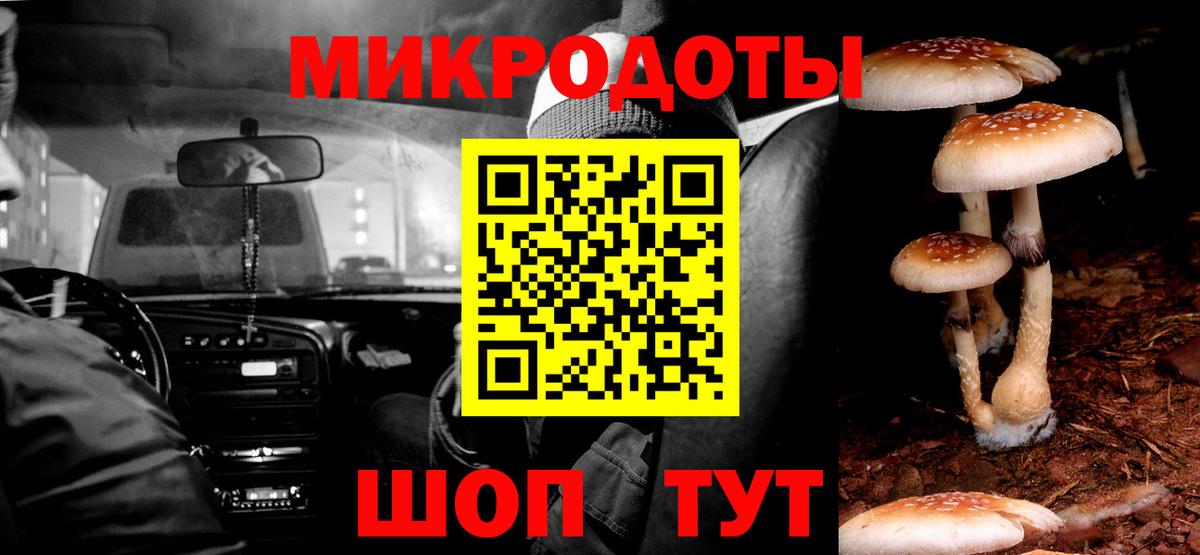 Кодеин Новодвинск