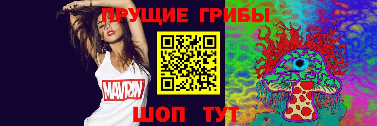 Новодвинск  Галлюциногенные грибы Psilocybine cubensis  Вход с VPN  Галлюциногенные грибы Psilocybine cubensis 